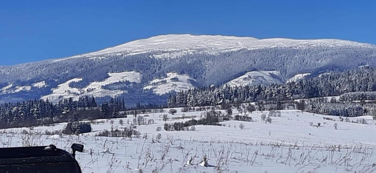 Orawski Kat Villa Zubrzyca Dolna Exteriör bild